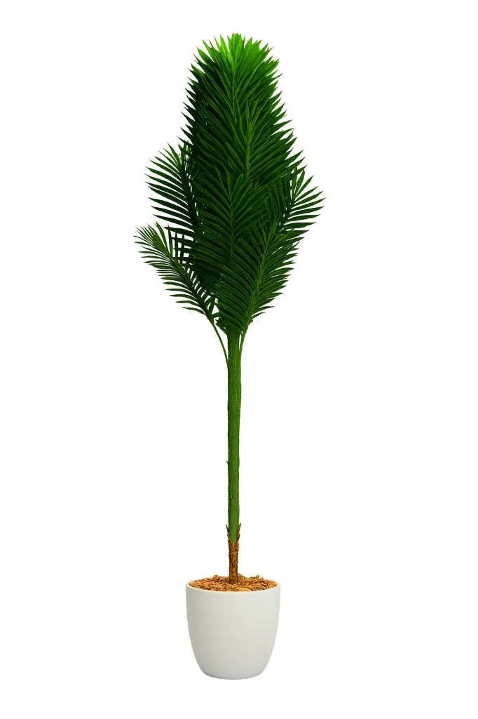 ChatGPT Image Sep 11, 2025, 01_50_00 AM.webp