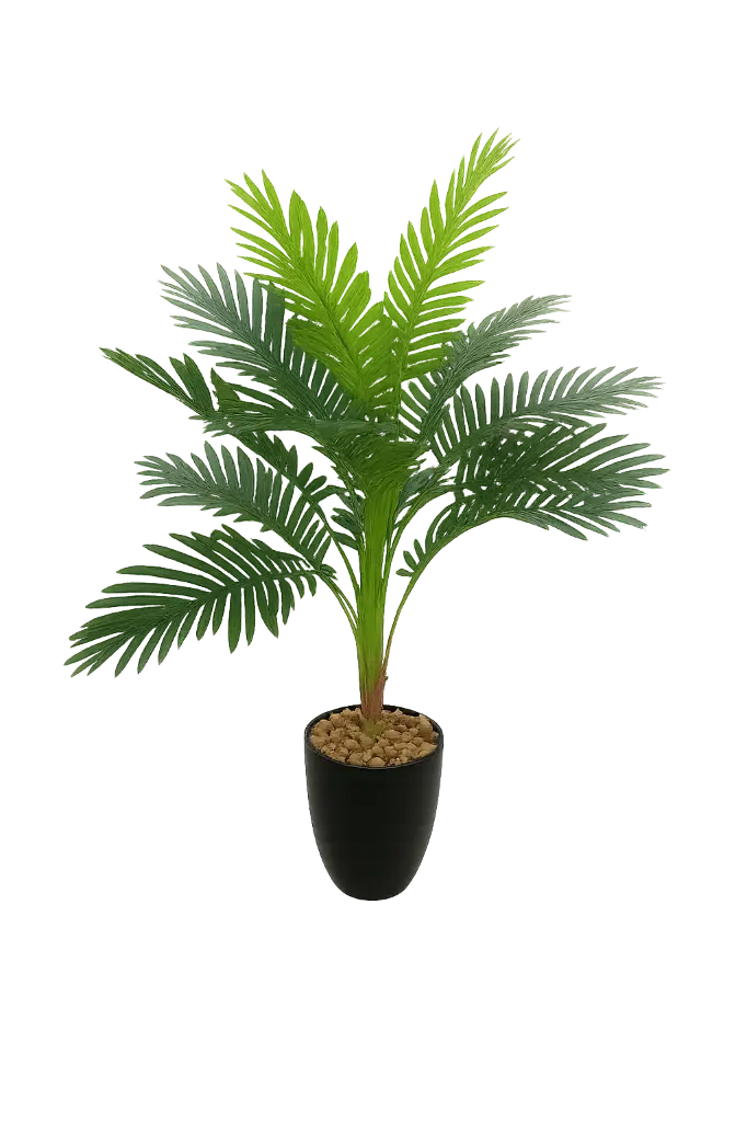 ChatGPT Image Sep 11, 2025, 01_56_15 AM.webp