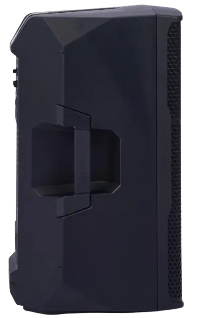 SPEAKERS MONTARBO Professional subwoofer2.webp