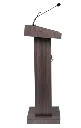 MIKE PODIUM Holding microphone4.webp