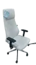 LEATHER VIP CHAIR​